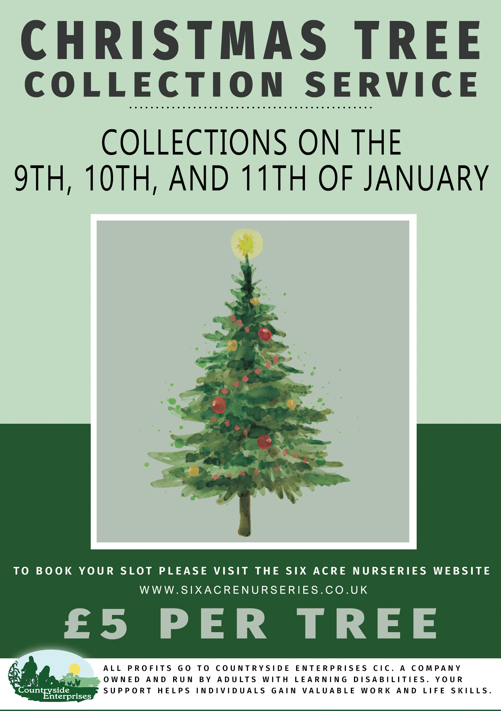 Christmas Tree Collection 9th, 10th, 11th January 2024 Six Acre