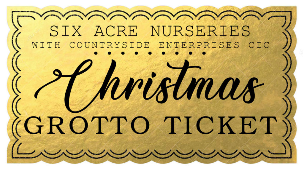 Santa’s Grotto Ticket! Sunday 03/12/23 14.24 (224pm) Six Acre